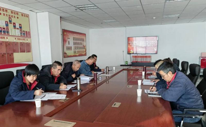 物产工投公司党委召开理论学习中心组2025年第一次学习暨民主生活会会前学习研讨会