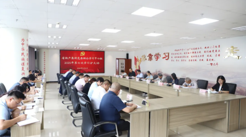 集团党委召开理论学习中心组2025年第七次学习（扩大）会