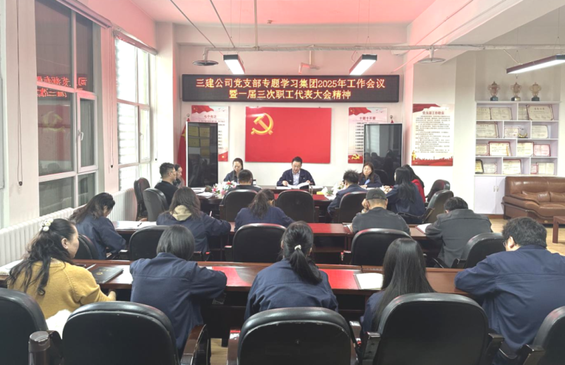 深学笃行展新姿 凝心聚力启新程——三建公司党支部专题学习研讨集团“两会”精神