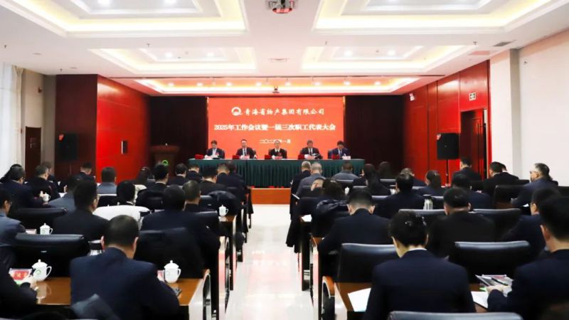 坚定信心促发展 实干争先攀新高——省物产集团2025年工作会议暨一届三次职代会胜利召开