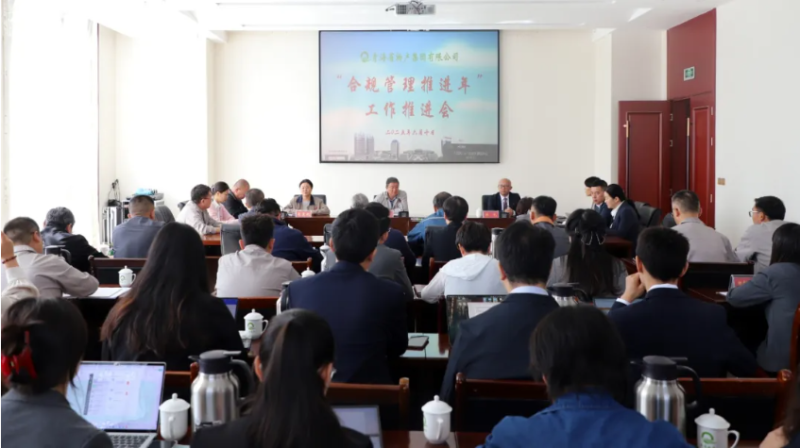 爱游戏ayx在线登录入口召开“合规管理推进年”工作推进会