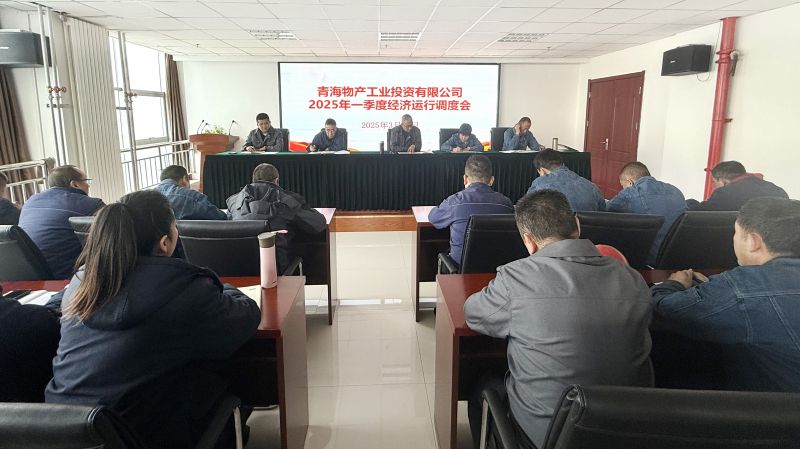 物产工投公司召开2025年第一季度经济运行调度会